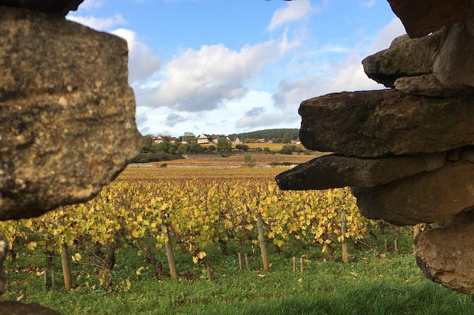 Wine tour and tasting in Burgundy - Key Points