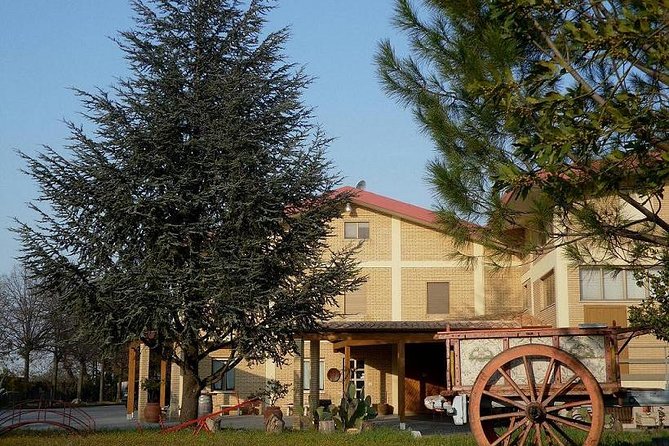 Wine tour and Tasting in Nocciano - Personal Attention in a Small Group Setting