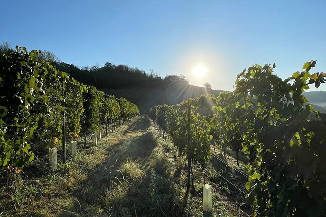Wine Tour and tasting in the Monferrato - Premium - Explore the Unique Wine-Making Journey in Monferrato