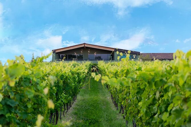 Wine Tour and Tasting of Lugana Wines in Desenzano - The Value: Quality Experience at a Fair Price