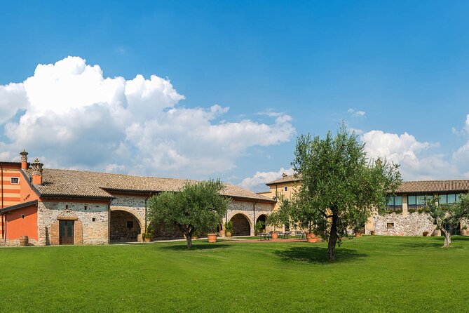 Wine Tour and Tasting on Garda Hills - Key Points