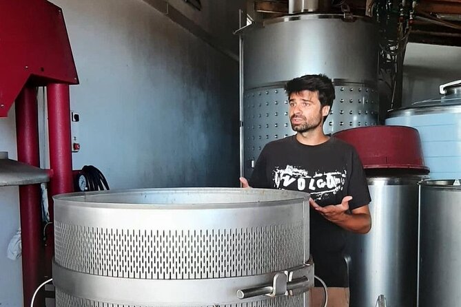 Wine tour and Tasting with a local Winemaker at Pico Island - Key Points