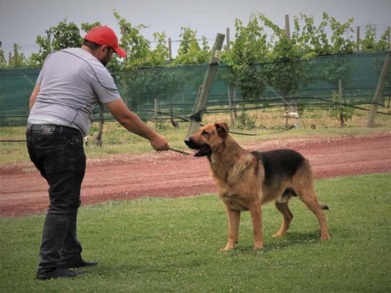 Wine tour Areni Noravank Khor Virap Areni cave - Practical Details: Transportation, Group Size, and Inclusions