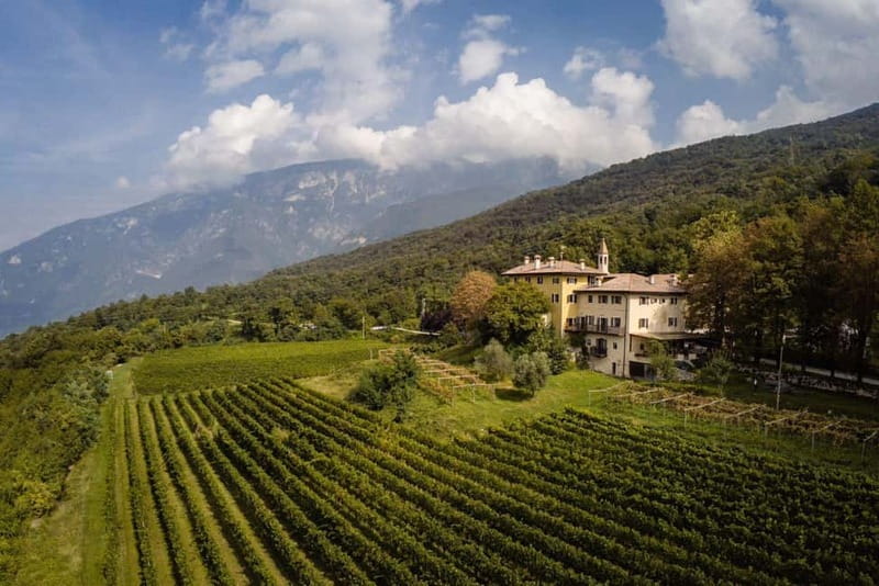 Wine tour at Borgo dei Posseri: wine, nature, and authenticity - Authentic Trentino Wine Experience at Borgo dei Posseri