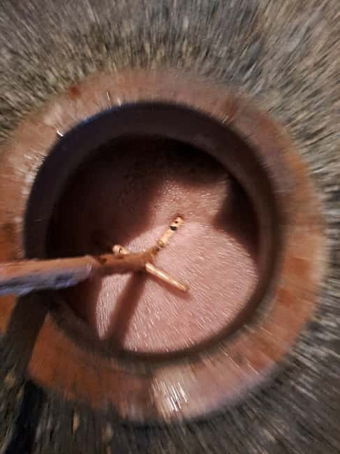 Wine Tour by Winemaker - The Authenticity of Georgian Winemaking Techniques