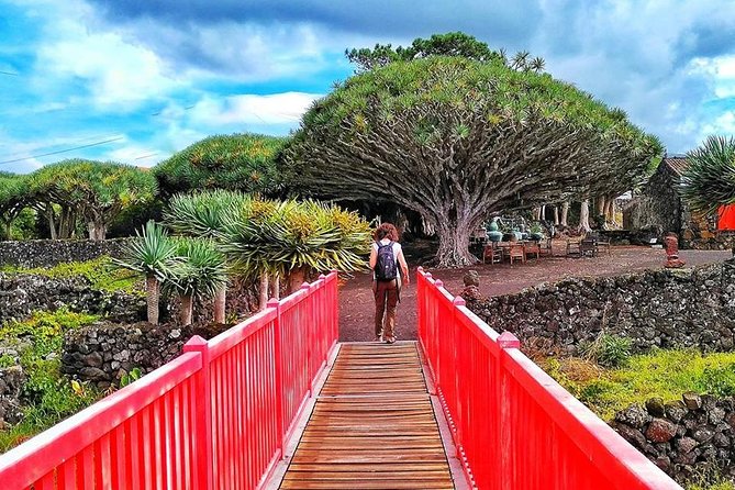 Wine Tour - Starting Point and Schedule