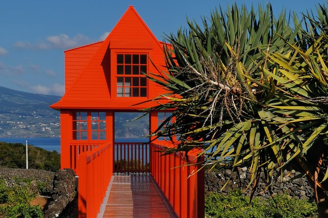 Wine Tour - Walking Through UNESCO Heritage Vineyards