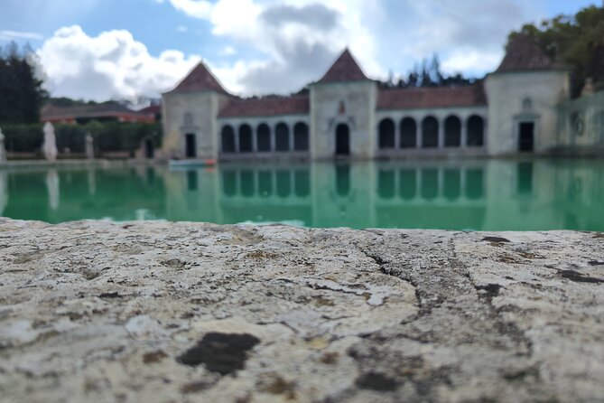 Wine Tour, discovering the famous Setúbal Moscatel - Comfortable Transportation and Convenience