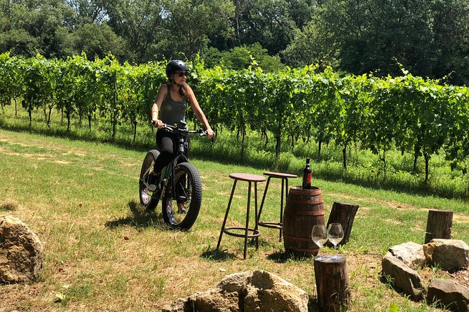 Wine Tour Ebike Experience - Lunch Options and Additional Costs