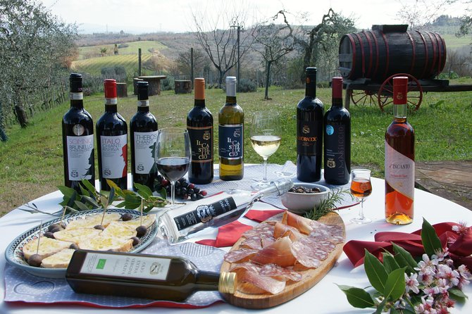 Wine Tour Experience at Agricola Tamburini - The Experience of the Vineyard Visit