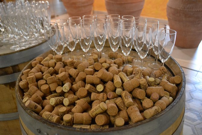 Wine Tour Experience for Family or friend's group - Physical Requirements and Suitability