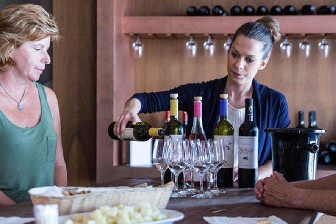 Wine Tour in Nemea from Nafplio - The Mythology and History of Nemea Through Storytelling