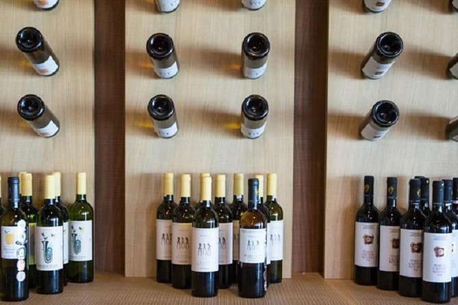 Wine Tour in Nemea from Nafplio - Navigating the Tour Logistics and Pacing