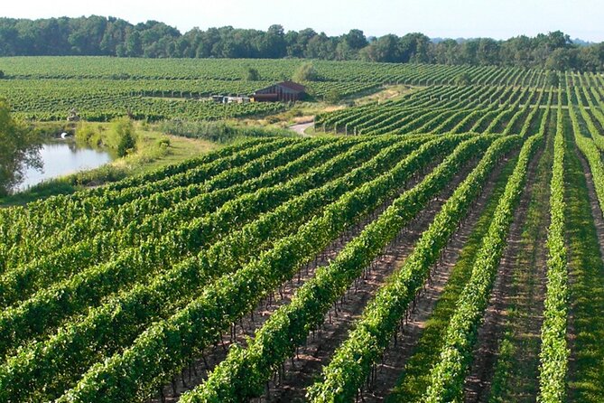 Wine Tour in Niagara-on-the-Lake - The Guided Experience with a Local Industry Expert