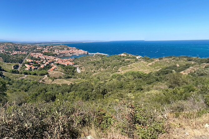 Wine Tour in Roussillon: Picnic & Tasting Day - Experience the Best of Roussillons Vineyards and Wines for $196.64