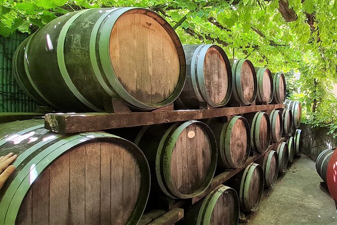 Wine Tour in Roussillon: Picnic & Tasting Day - Rivesaltes and the Gourmet Picnic Experience