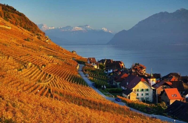 Wine tour in the canton of Vaud - Lavaux vineyards - Tasting 13 Local Wines from Six Swiss Regions