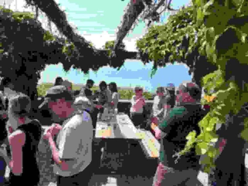 Wine tour in the canton of Vaud - Lavaux vineyards - The Guide and the Small-Group Experience