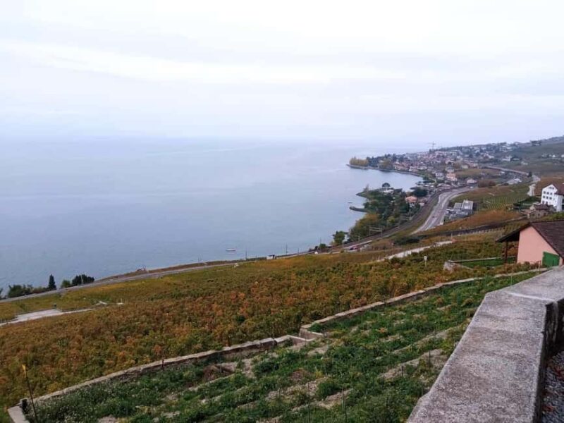 Wine tour in the canton of Vaud - Lavaux vineyards - Practical Details and Tips for the Tour