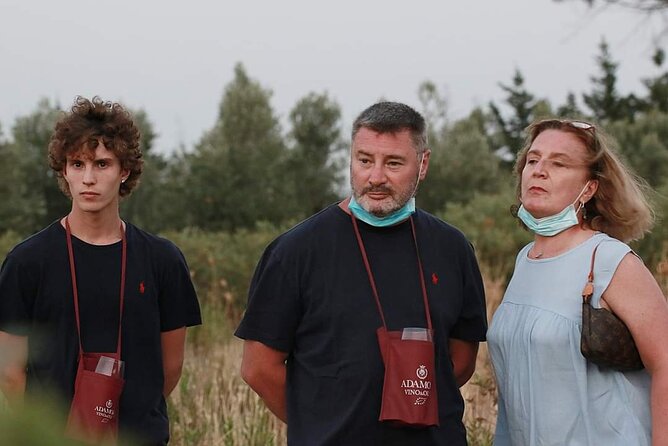 Wine Tour in the historic Baglio Florio Adamo with Lunch - Indulging in a Traditional Sicilian Lunch