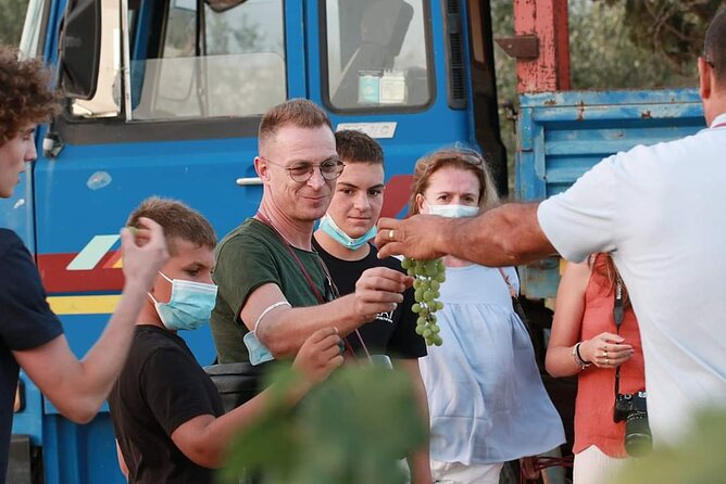 Wine Tour in the historic Baglio Florio Adamo with Lunch - Booking, Cancellation, and Weather Considerations