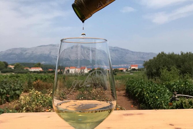 Wine tour Korula - private tour - Wine Tasting at Winery Sabulum