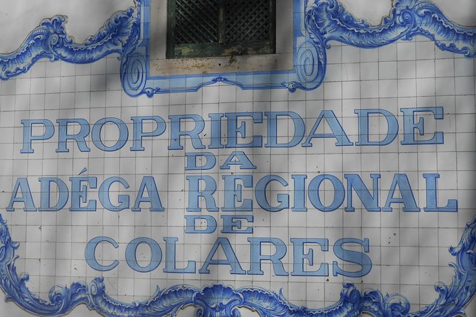 Wine Tour & Lunch By the Sea in Sintra - Practical Details and Tour Logistics