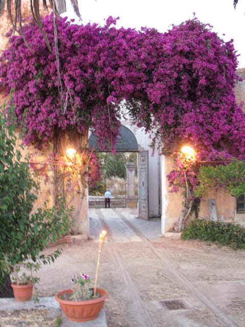Wine Tour lunch/dinner in the historic baglio Florio Adamo - Tasting Sicilian Wines with Local Food Pairings