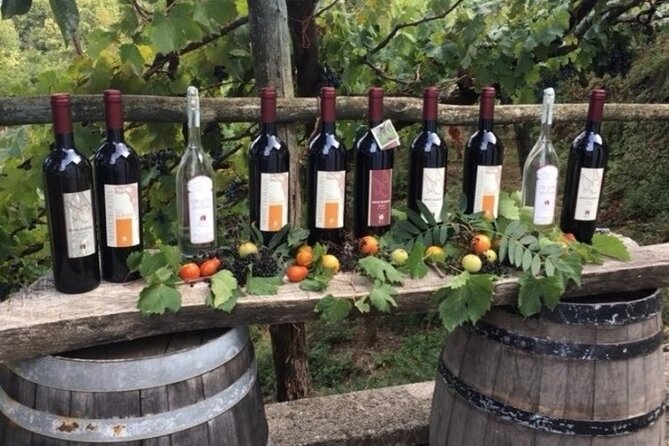 Wine Tour (lunch included) - The Experience of a Small, Private Tour in Amalfi