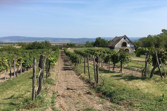 Wine Tour of Etyek from Budapest, taste even 7 kinds of wines! - The Unique Appeal of Etyeks Wine Region