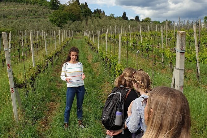Wine Tour of two Chianti wine estates on the hills of Florence - Starting Point: Florence’s Piazza dei Cavalleggeri