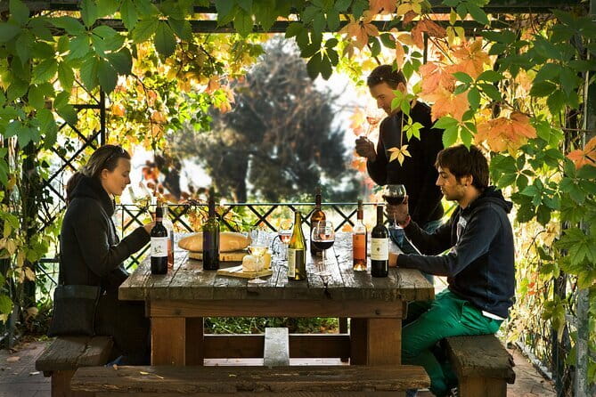 Wine Tour of two Chianti wine estates on the hills of Florence - Culinary Delights: Tuscan Lunch and Snacks