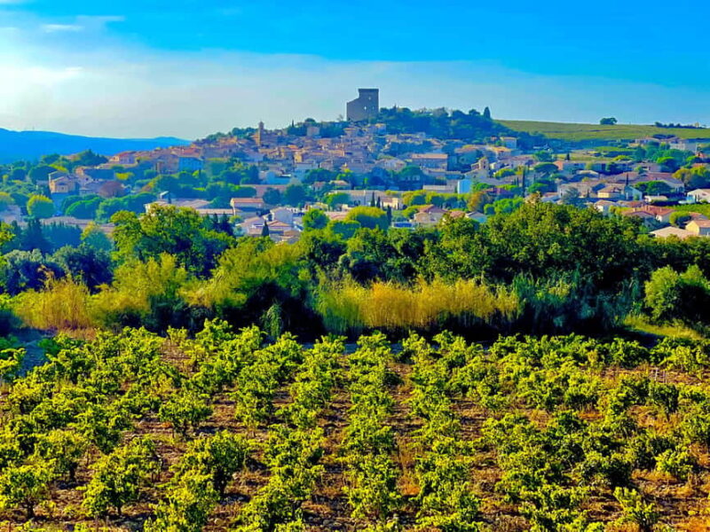 Wine Tour: On the Way to Chateauneuf du Pape - Exploring Chateauneuf du Pape’s Iconic Vineyards