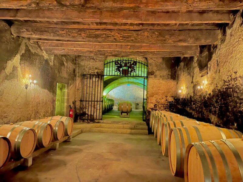 Wine Tour: On the Way to Chateauneuf du Pape - Learning to Taste Wine Like a Pro