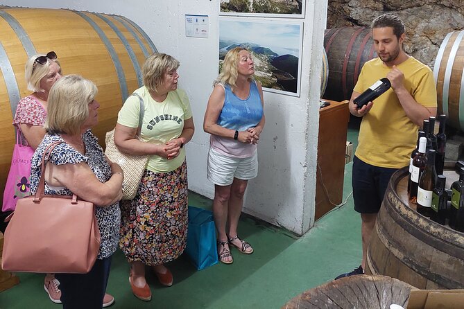 Wine tour Peljesac - Tasting the Best of Peljesac Vineyards