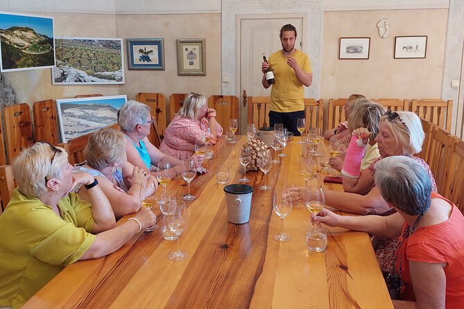 Wine tour Peljesac - Practical Details: Meeting, Transport, and Booking