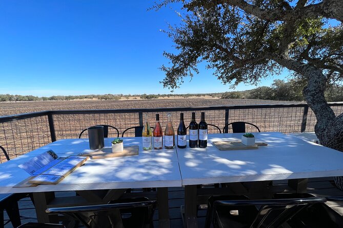 Wine Tour Pros - Fredericksburg Texas Wine Tour Up to 6 people - Logistic Details and Practical Tips