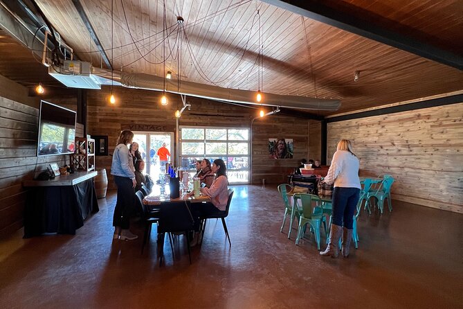 Wine Tour Pros - Fredericksburg Texas Wine Tour Up to 6 people - Who Should Consider This Tour