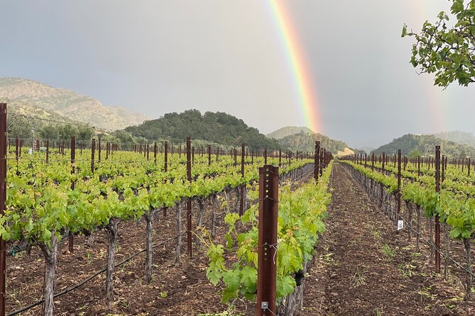 Wine Tour Pros - Sprinter Van Wine Tour: Up To 14 Guests - Key Points