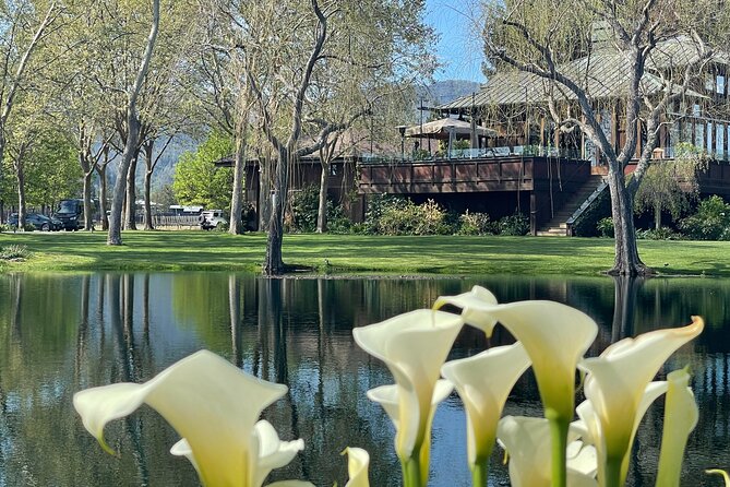 Wine Tour Pros - Sprinter Van Wine Tour: Up To 14 Guests - Physical Requirements and Accessibility