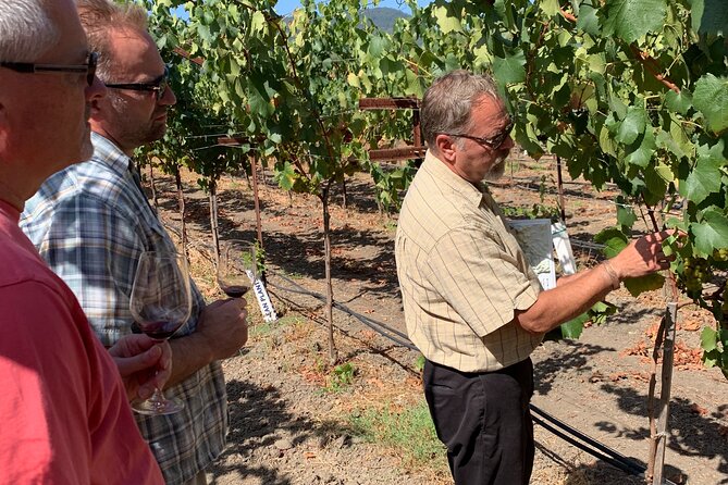 Wine Tour Pros - Wine Tour in Napa Valley: SUV For Up To 6 Guests - Flexibility and Customization of the Itinerary