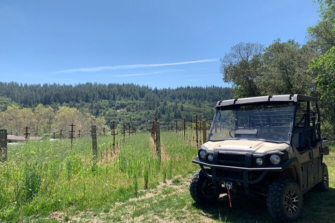 Wine Tour Pros - Wine Tour in Napa Valley: SUV For Up To 6 Guests - Pricing, Booking, and Practical Details