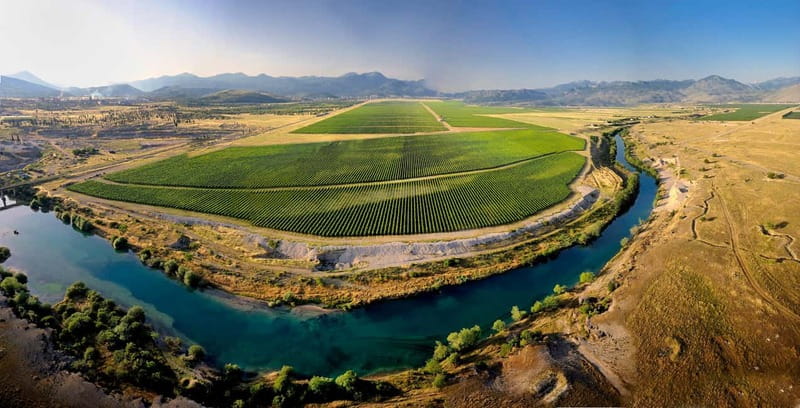 WINE TOUR: Recommended for hedonists! - Key Points