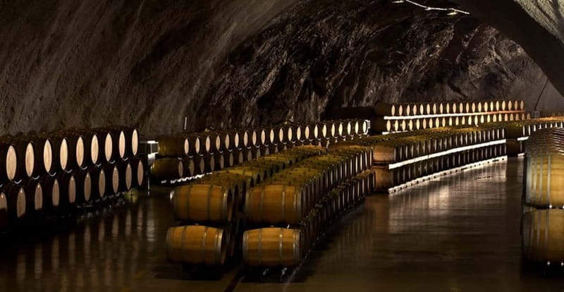 WINE TOUR: Recommended for hedonists! - Visiting Montenegro’s Largest Wine Cellar, 13. Jul Plantae