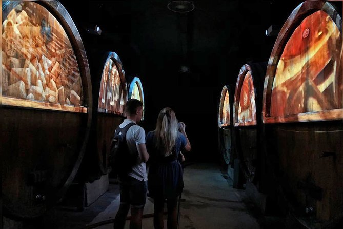 Wine tour, tasting and Alsatian meal - 100% immersive experience - Key Points