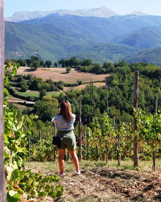 Wine Tour & Tasting of 6 Wines Le Macchie, near Rome - Tasting 6 Wines Paired with Local Specialties