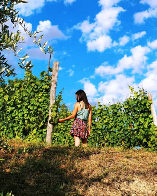 Wine Tour & Tasting of 6 Wines Le Macchie, near Rome - What Sets This Tour Apart