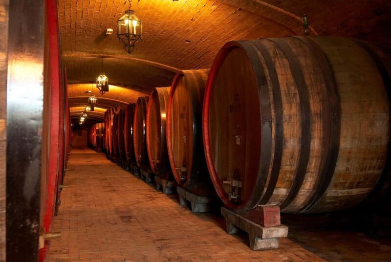 Wine Tour & Tasting TUSCANY - Tasting the Renowned Wines from Cantina del Redi