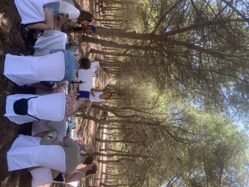 Wine Tour through the vineyards with tasting by Salt Lake - Discover the Unique Blend of Nature and Local Wine in La Mata