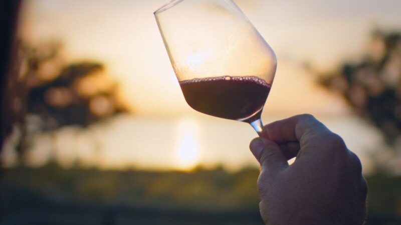 Wine Tour through the vineyards with tasting by Salt Lake - Key Points